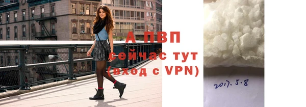 мдпв Туринск