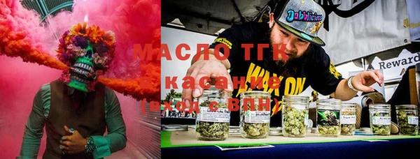 мдпв Туринск