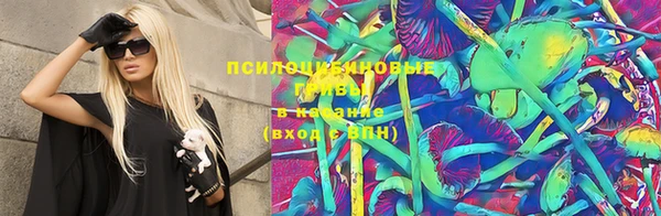 спиды Тында