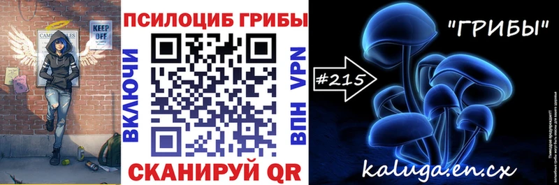 Купить  Самара  Галлюциногенные грибы MAGIC MUSHROOMS 